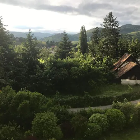 Francoise's Luxury Hot Tub Mountain - Munster Villa *