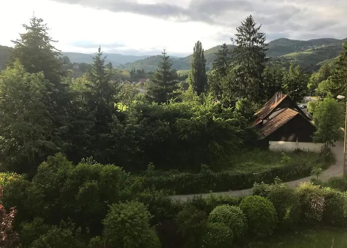 Francoise's Luxury Hot Tub Mountain - Munster Villa *